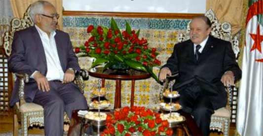 Algérie. Le jeu du chat et de la souris