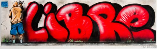 Tunisie: Le Graffiti, arme de résistance civile