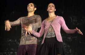 DAMA ou la tolérance du regard