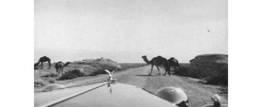 //En chemin vers la Mer Morte, Palestine, 1955. Hisham Abdel Hadi. Collection FAI/Abdel Hadi.Copyright © FAI