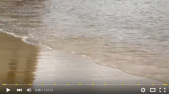 //François Maspero, “Les chemins de la liberté”