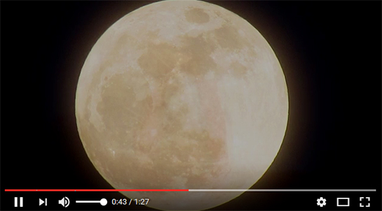 //BISSAP-Annonce du 2eme Album "Rêves de papillon" 