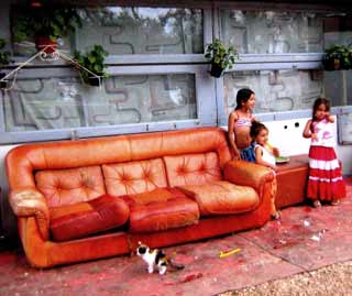 Notti sotto le stelle con gusto