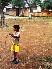 Notti sotto le stelle con gusto