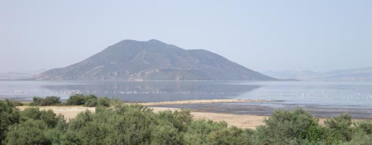 Tunisia. Dalle parti dell'Ichkeul: il monte, il lago e gli stagni