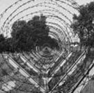 Progetto Dar-Med: inchiesta sui fenomeni di radicalizzazione