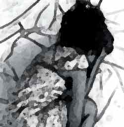 Le donne vittime della violenza. Realtà a confronto tra Torino, Gaza e Haifa 