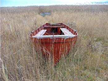 «Radio Egnatia», il lungo viaggio delle culture migranti