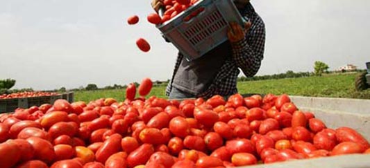 Il reato di clandestinità