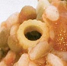 Cucina mediterranea 2009