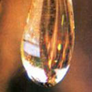 Cucina mediterranea 2009