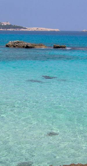 Impegno e integrazione. Le sfide di Maiorca