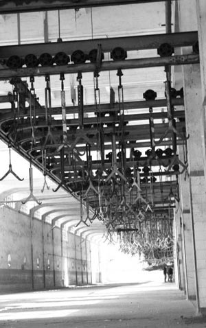 Casablanca, la rinascita artistica del ”Mattatoio”