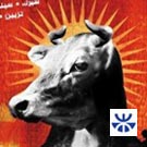 Inchiesta n°4: Creazioni meticcie