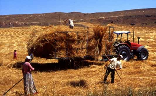 La valle delle migrazioni