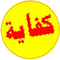 In Marocco sì alla Costituzione riformata, ma il potere non cambia