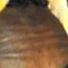 Dossier: Diario di un volontario Arci a Lampedusa (23 – 30 agosto 2011)