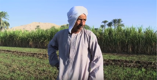 //"Je suis le peuple" di Anna Rousillon - EXTRAIT