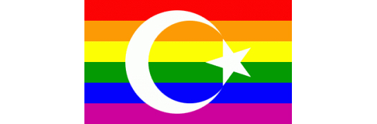 gay-tu-545
