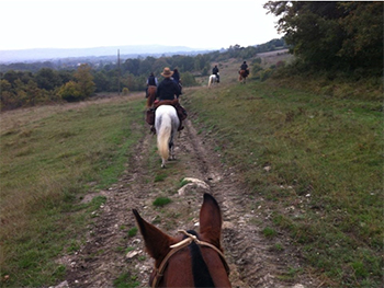 //Lungo il tratturu (Foto di F.Araco)