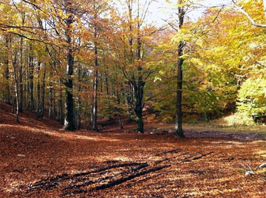//Nell’Oasi di Guardiaregia. (Foto di F.Araco).