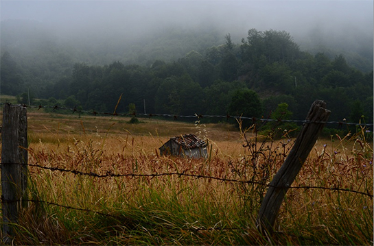 //Paesaggio del Carro