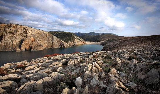 //Cala Domestica, foto di Fabio Dongu.