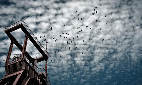 //Una miniera abbandonata, foto di Fabio Dongu.