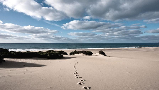 //La spiaggia di Piscinas, foto di Fabio Dongu.