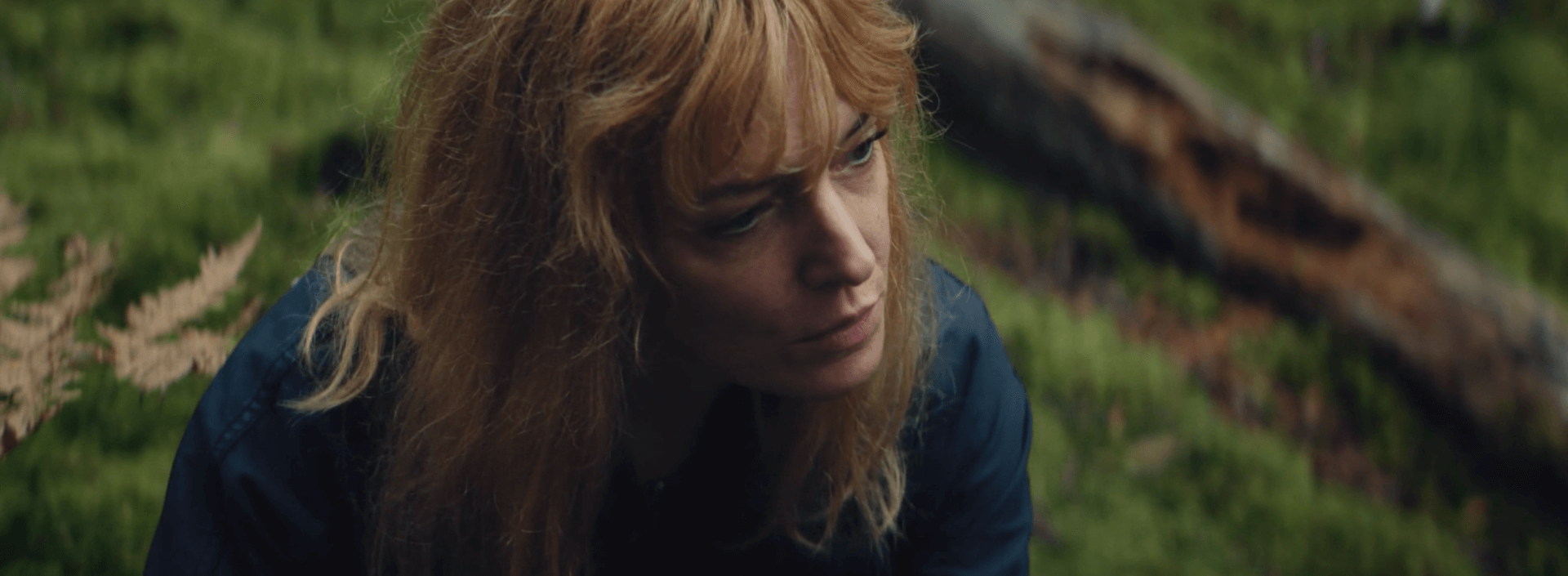 LA PLAINE VERTE | ALEXANDRE JAMIN