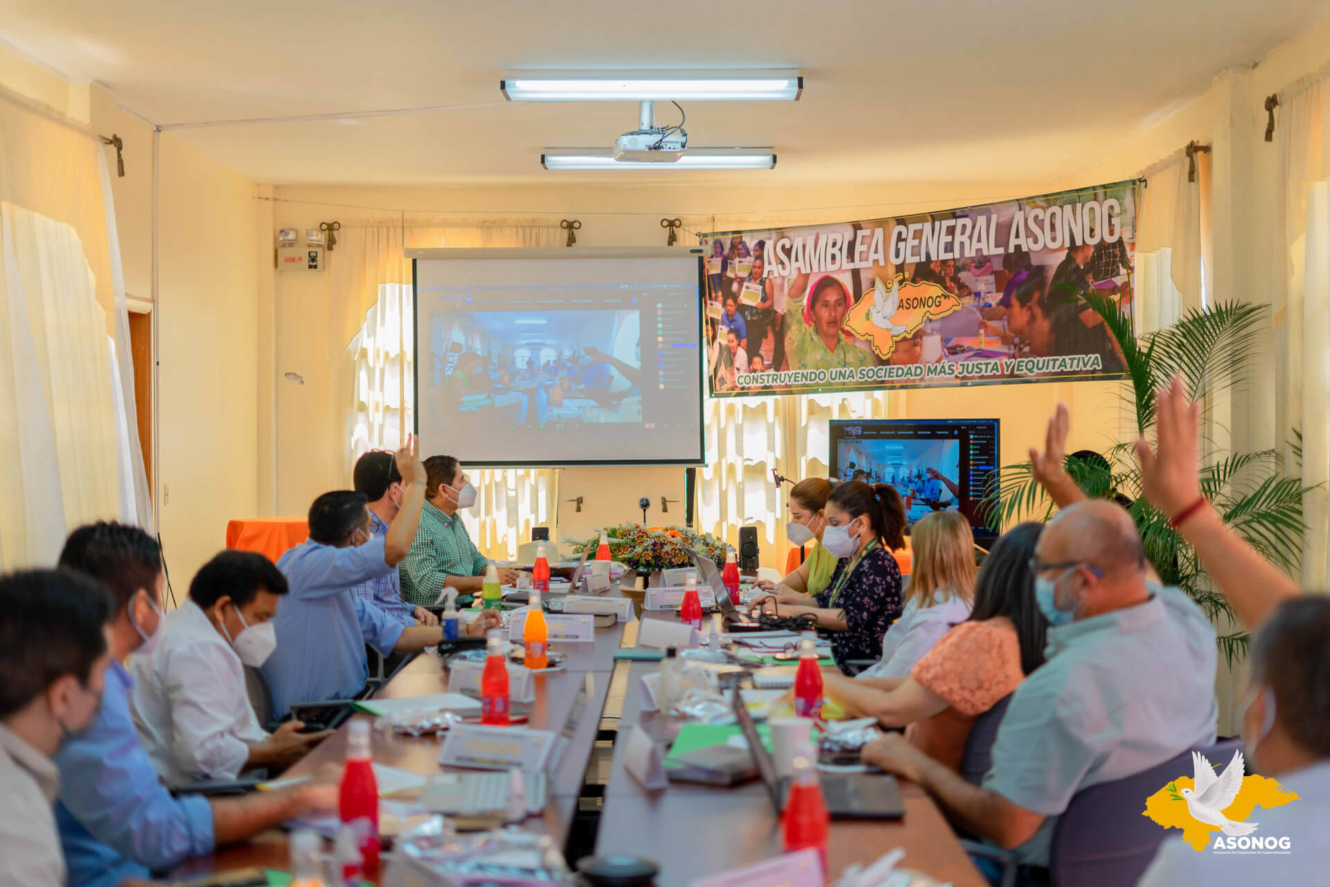 "Accountability and transparency: our contribution in the context of widespread corruption," a virtual forum organised by ASONOG | Forus