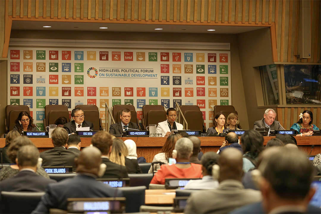 NGO Coalition Identifies Trends in National SDG Reporting | News | SDG Knowledge Hub | IISD | Forus