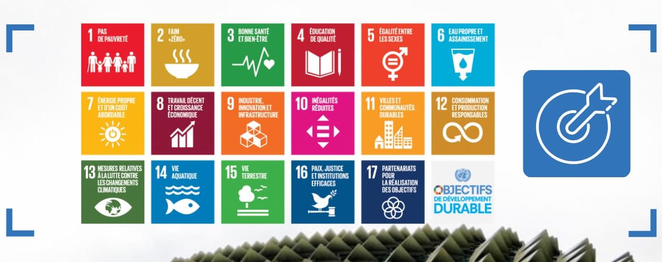 The 2030 Agenda and public policies: the Policy Coherence for Sustainable Development Index | Forus