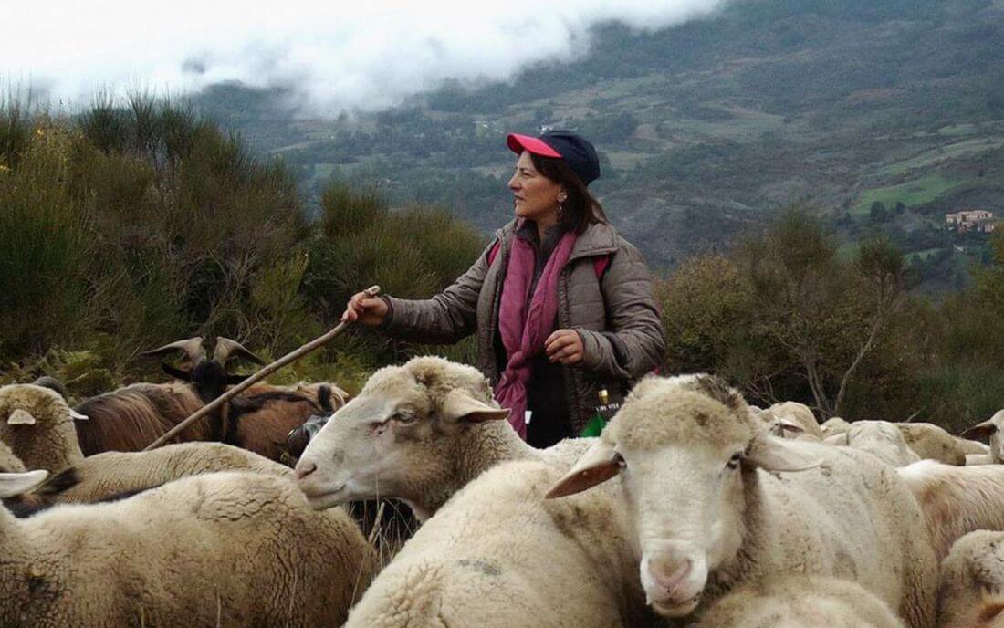 Les bergères italiennes, une «révolution du soin» | Babelmed