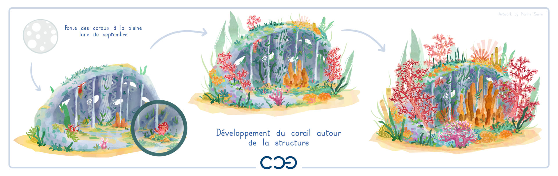 Cenote