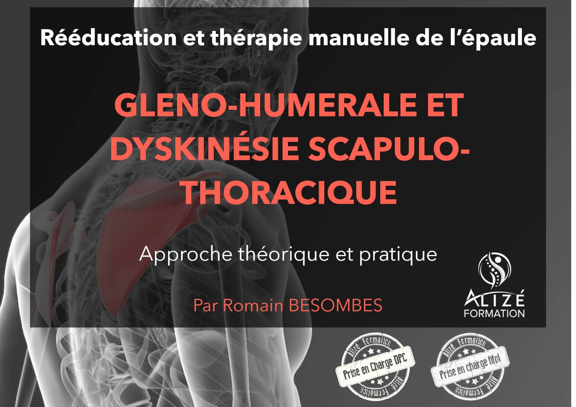 Formation Epaule : gléno-humérale et dyskinésie scapulo-thoracique - Lyon 13 & 14 mars 2020 | Alizé - Syndicat de kinésithérapeutes