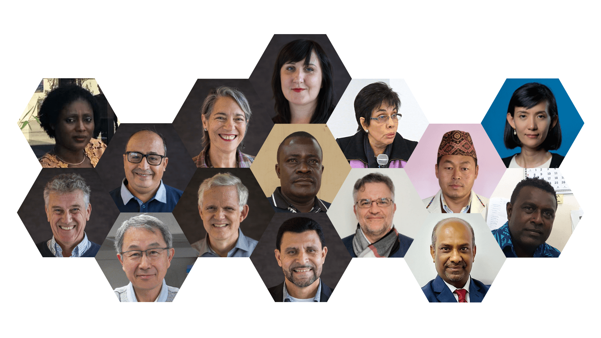 Governing a network in times of crisis | Forus