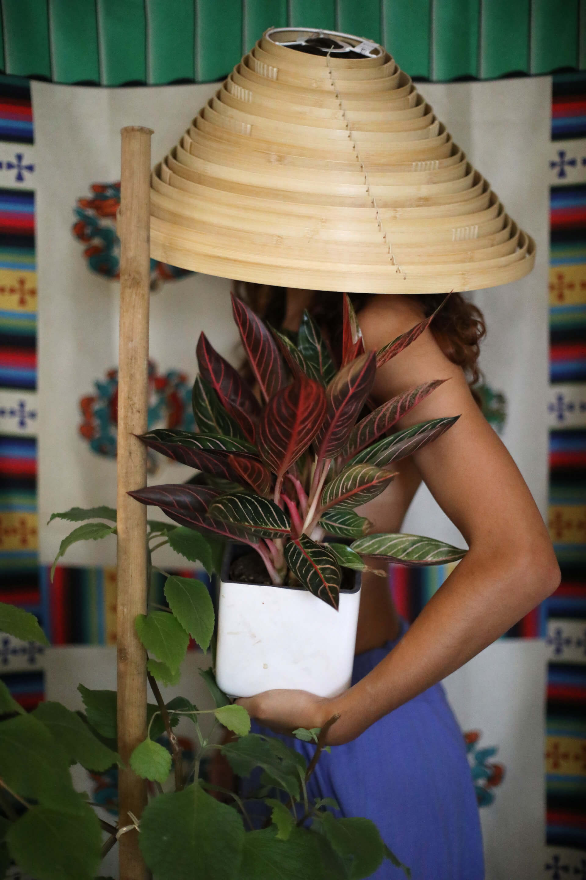 Babala | Both Nomads