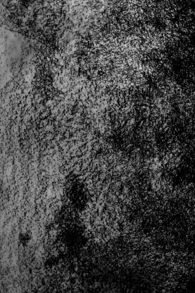 Détail – Non-Dits Mai-Juin | liguori charlotte