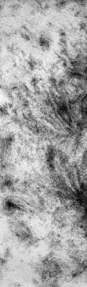 Détail – Non-Dits Juillet-Août | liguori charlotte