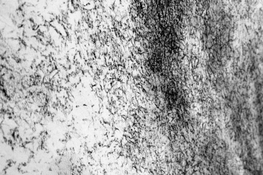 Détail Non-Dits, Septembre Octobre | liguori charlotte