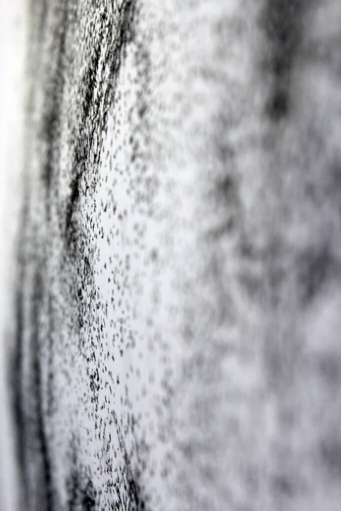 Détail_ Non-dits, Mars-Avril | liguori charlotte