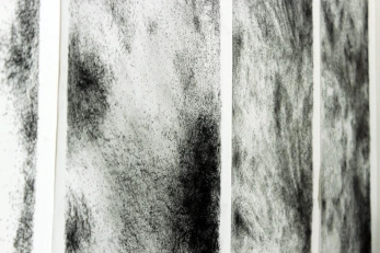 Détail – Non-Dits | liguori charlotte