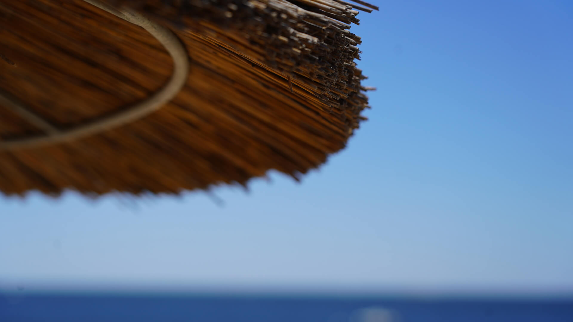 Les Passagers du Vent