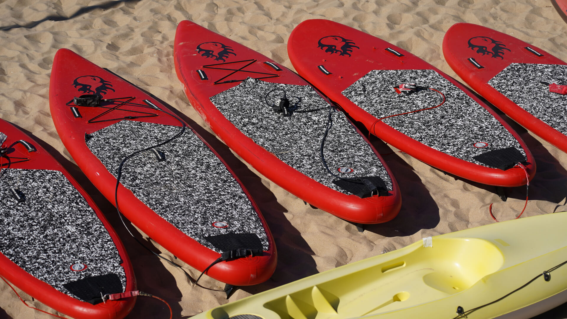 Les Passagers du Vent