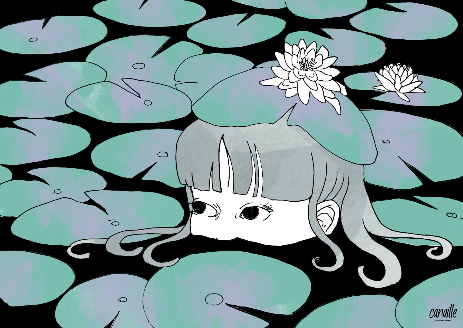 Hide | Canaille Illustration