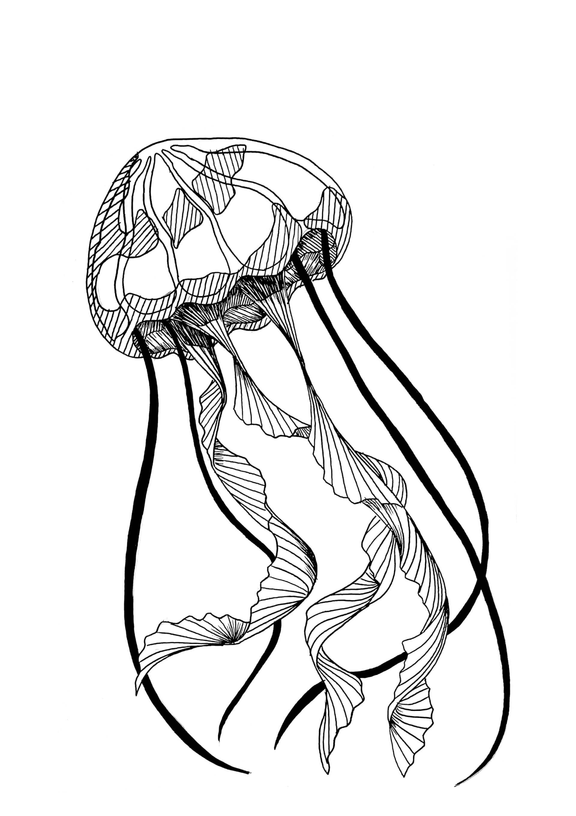 Tattoos | Canaille Illustration