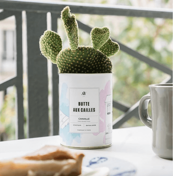 Collab - Ay Cactus | Canaille Illustration