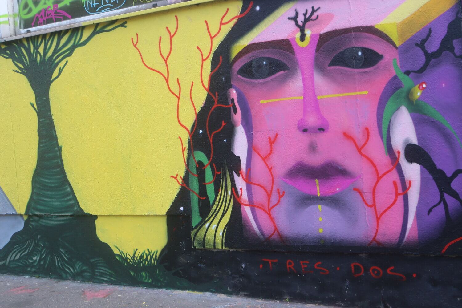 Latin American Muralists — Paris Lit Up | Liana Perez