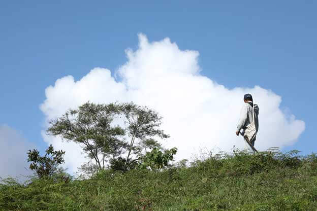 From Paraguay to Italy: Development at all Costs | Forus